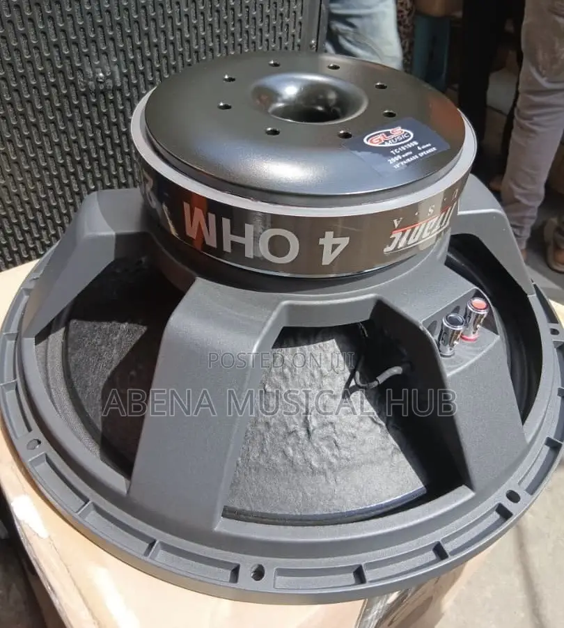 GLS 2000 Watt Naked Speaker
