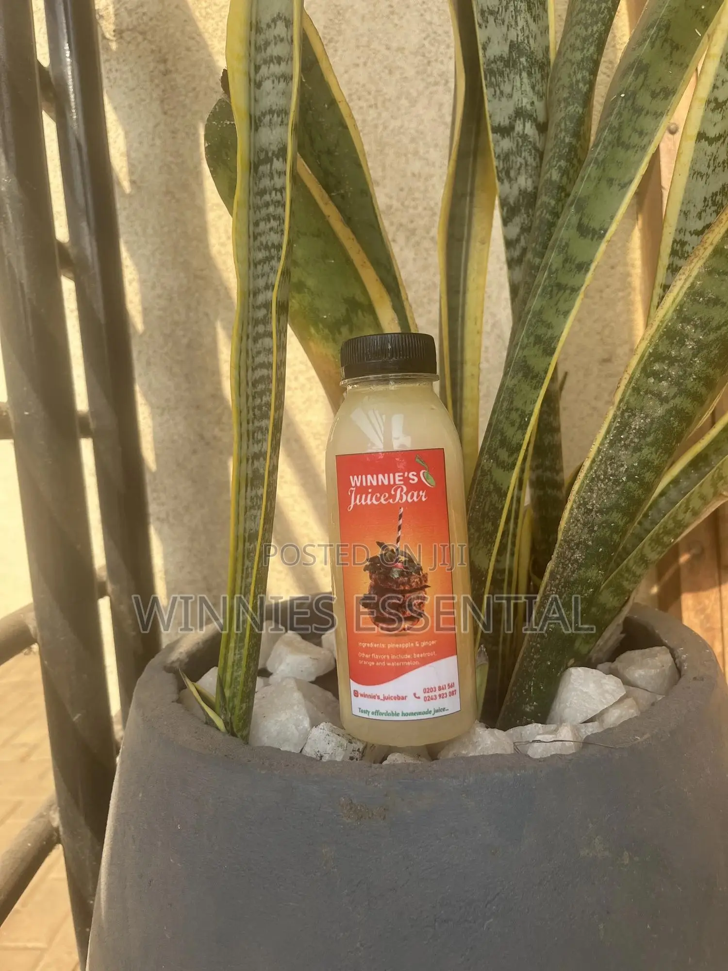 Winnie’S Juice Bar