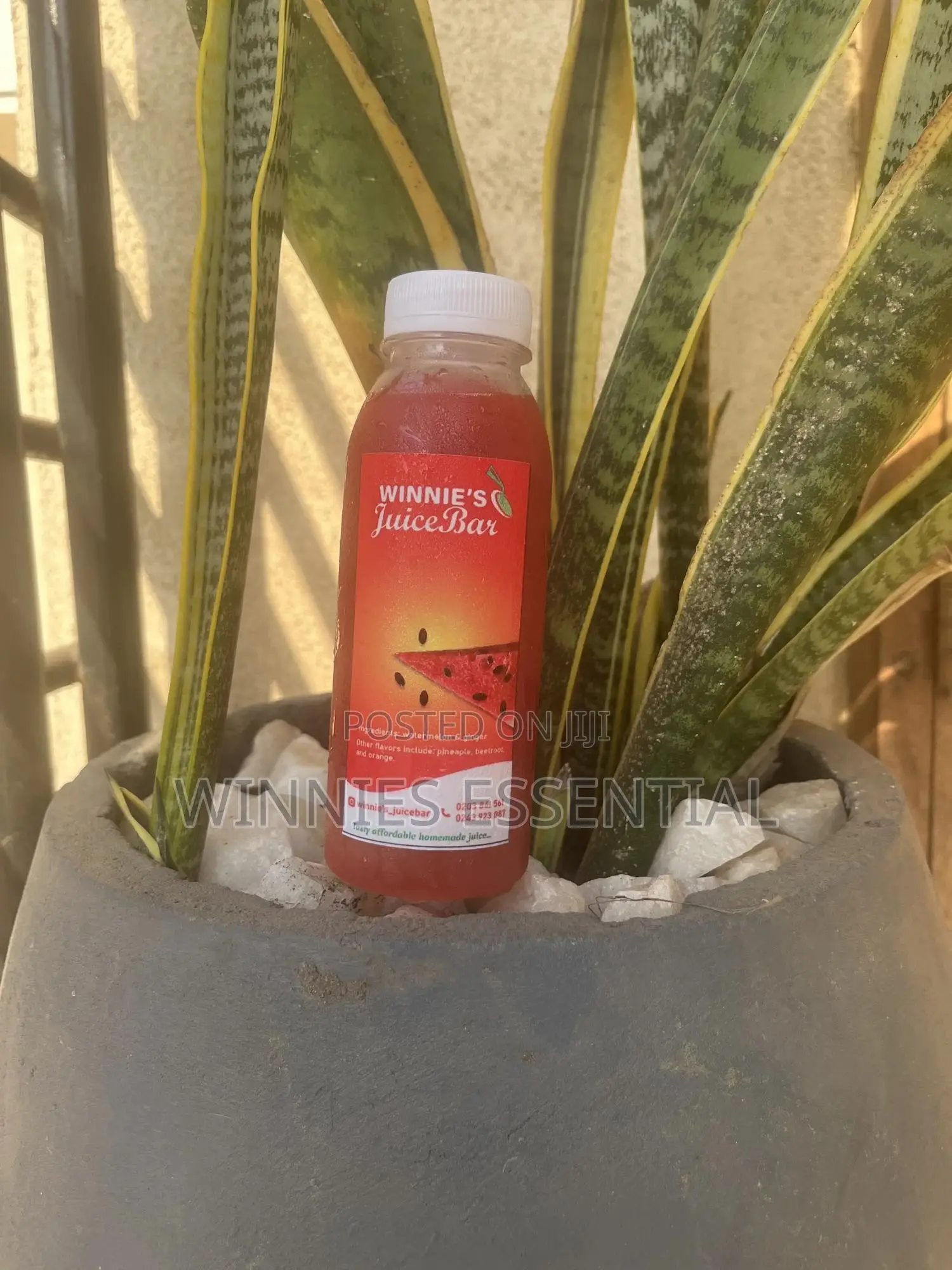 Winnie’S Juice Bar