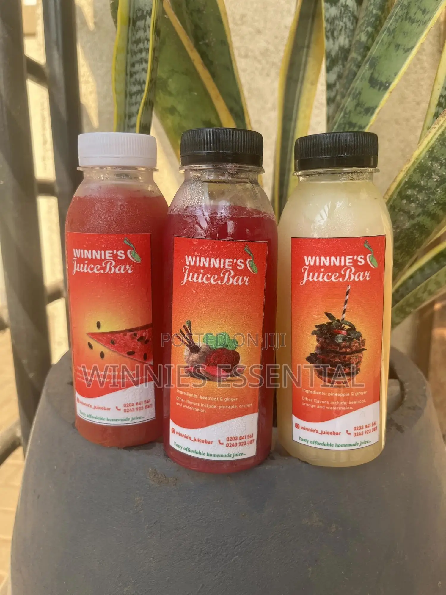 Winnie’S Juice Bar