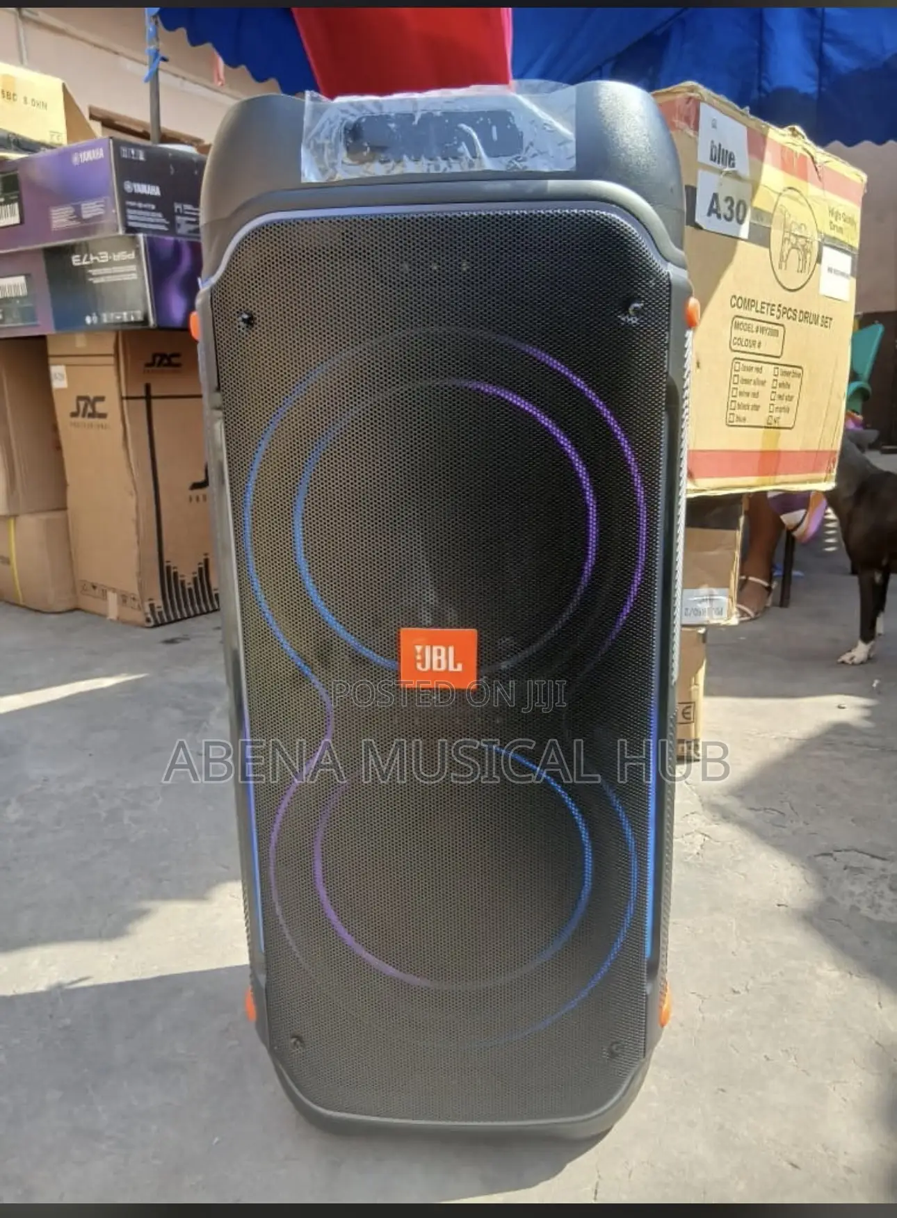 Party Box Rechargeable With Two Microphones