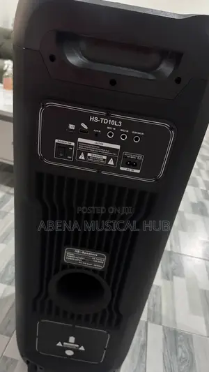 Party Box Rechargeable With Two Microphones