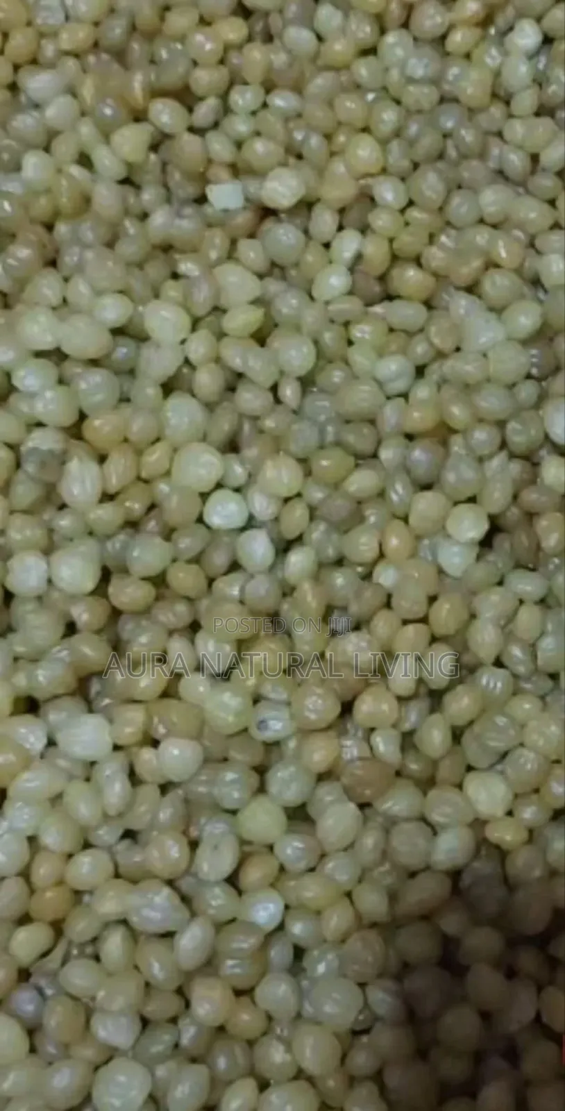 Akpi Seeds 1kg