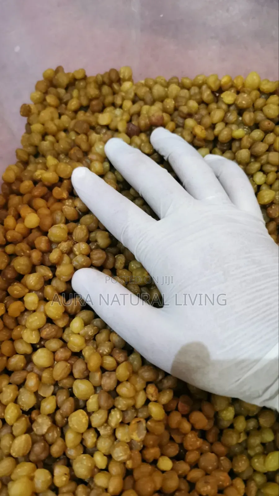 Akpi Seeds 1kg