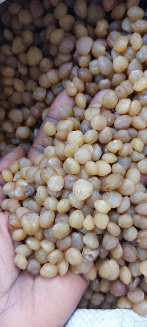Akpi Seeds 1kg