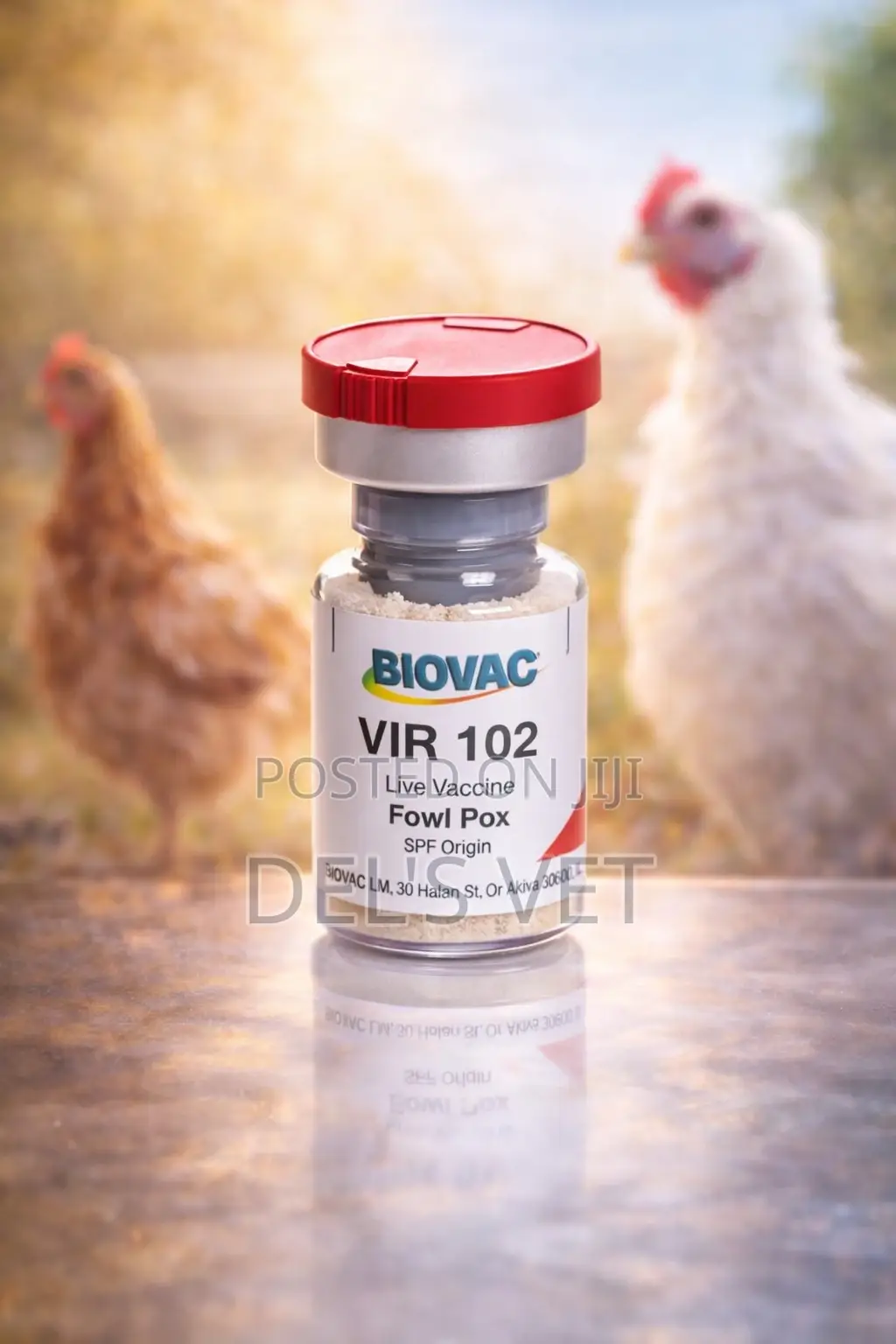 Poultry Fowl Pox Vaccines (Wholesale)