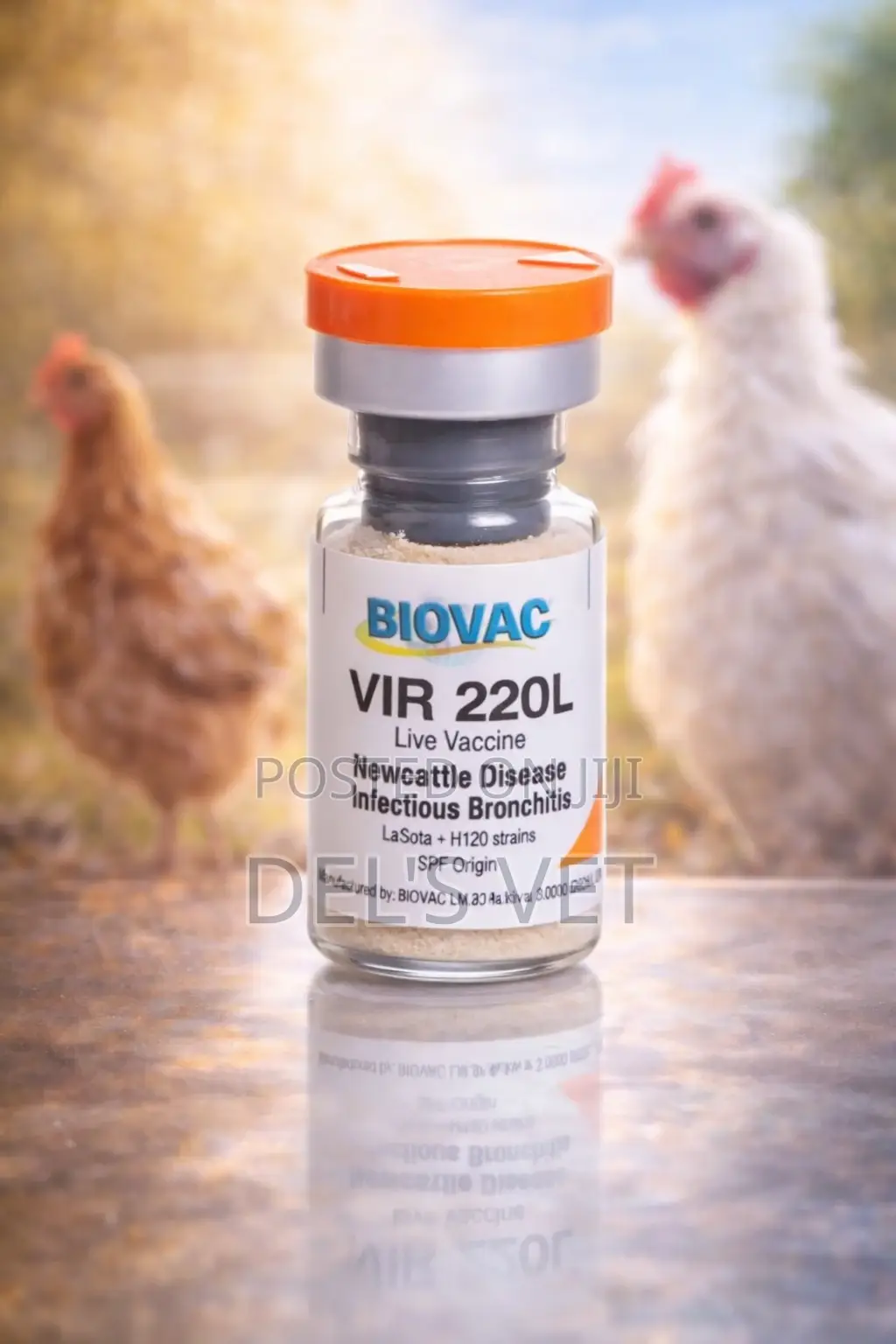 Newcastle Disease Infectious Bronchitis Nd+Ib (Wholesale)