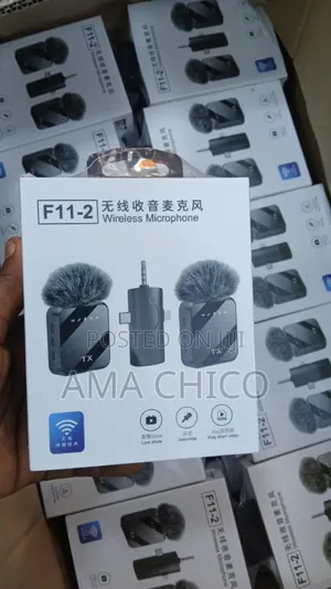 F11-2 Wireless Microphone