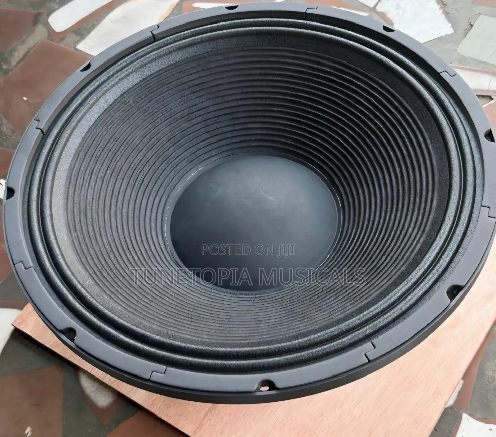 GLS Music/Titanic Usa 2500watt Pair of 18inches Naked Speakers