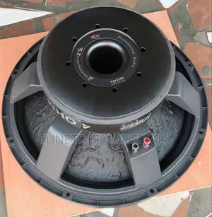 GLS Music/Titanic Usa 2500watt Pair of 18inches Naked Speakers
