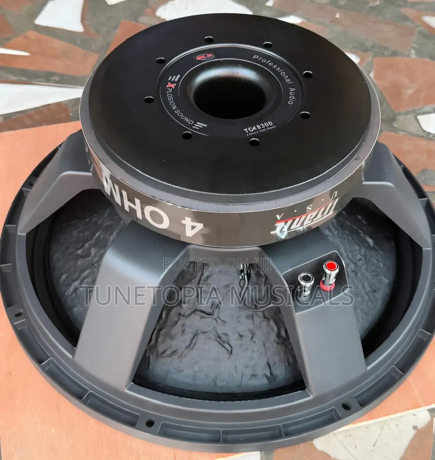 GLS Music/Titanic Usa 2500watt Pair of 18inches Naked Speakers