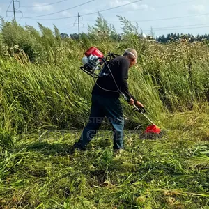 4 Stroke Farm Clearing/Weeder