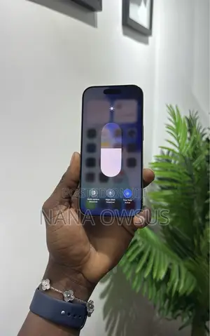 Apple iPhone 15 Pro Max 256 GB Silver