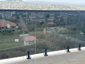 Stainless Frameless and Flower Designs