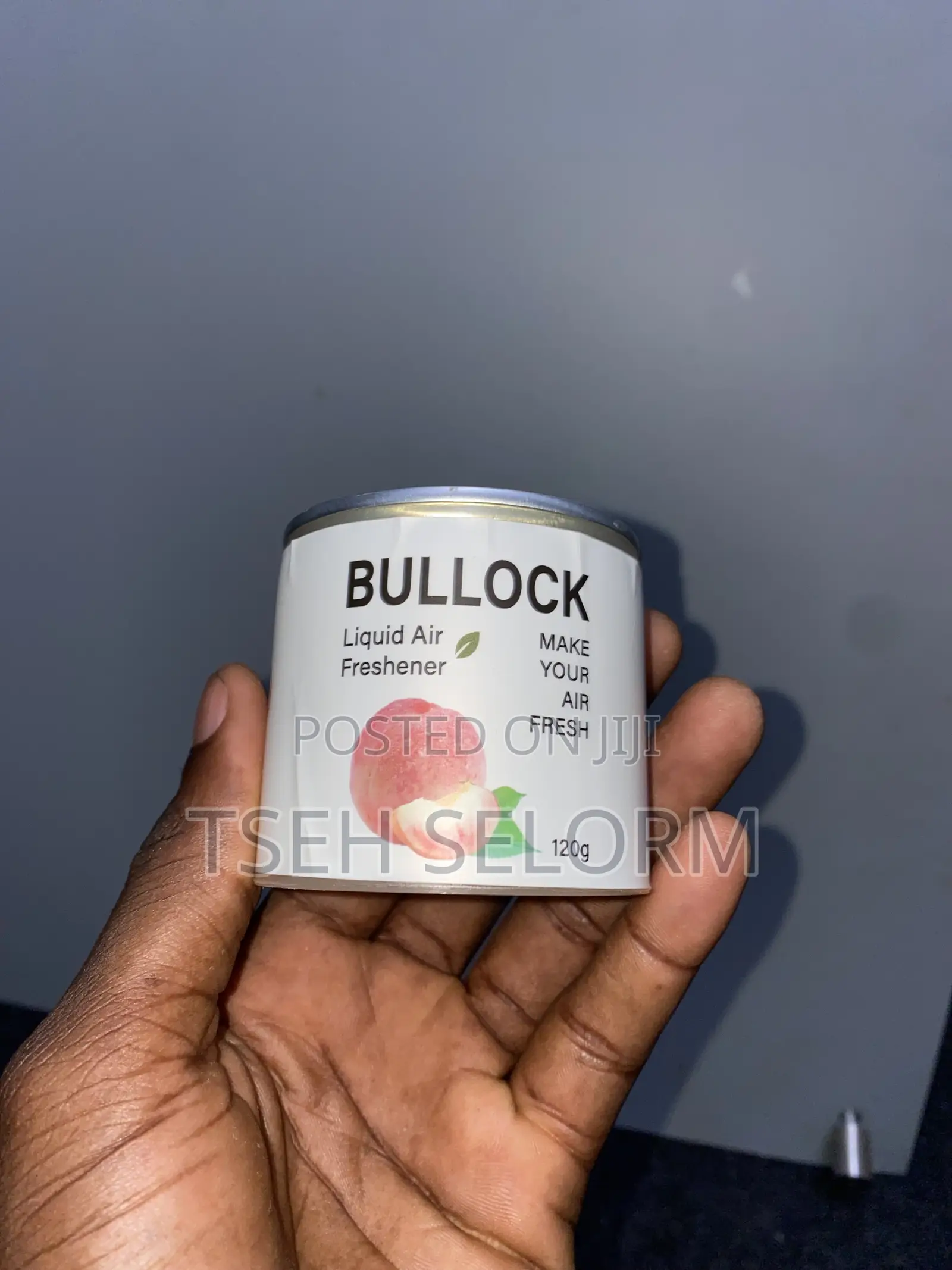 Air Freshener 120g
