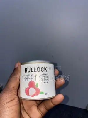 Air Freshener 120g