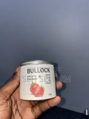 Air Freshener 120g