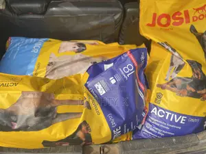 Dog Food Available