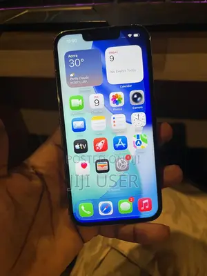 Apple iPhone 13 Pro 256 GB Gray