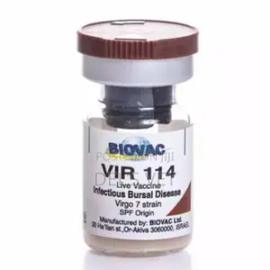 Infectious Bursal Disease Ibd Gumboro (Wholesale)