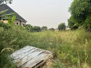 2 Plots of Land for Sale