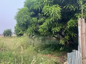 2 Plots of Land for Sale