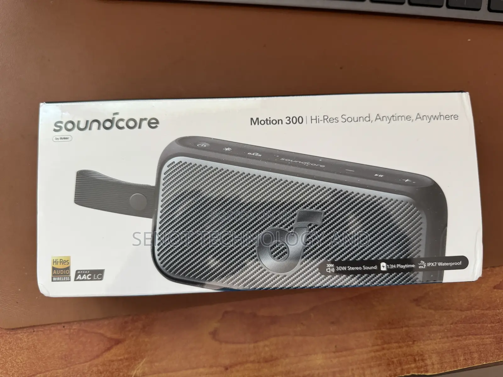 Soundcore Motion 300