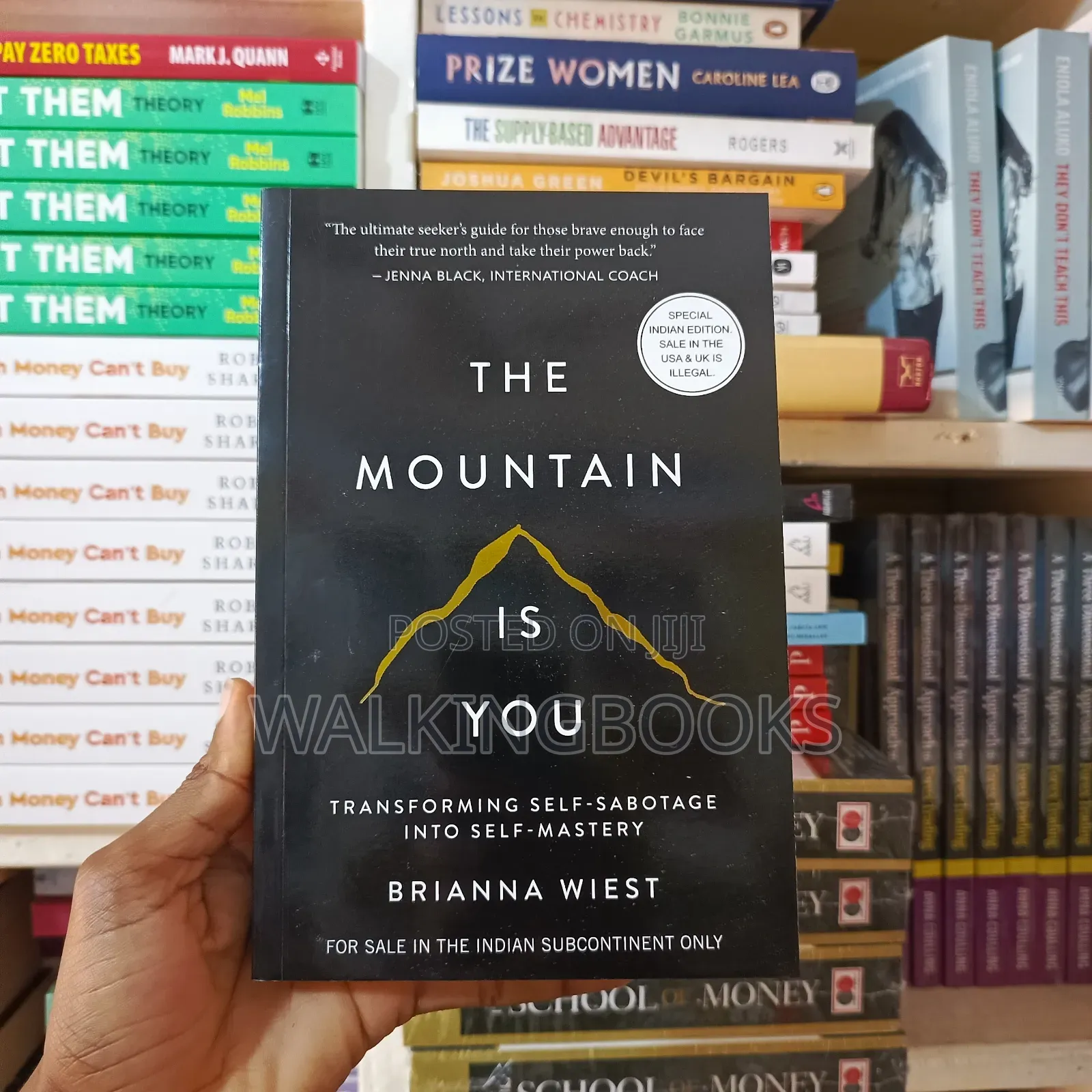 The Mountain Is You- Brianna Wiest
