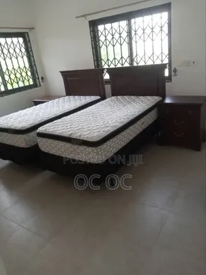 Mattress (Double/Standard Size)