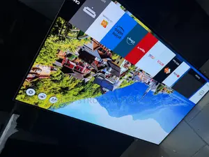 55 Inches Lg Oled Tv