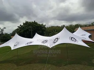 Cheese Tent Canopy