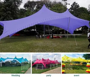 Cheese Tent Canopy