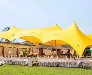 Cheese Tent Canopy