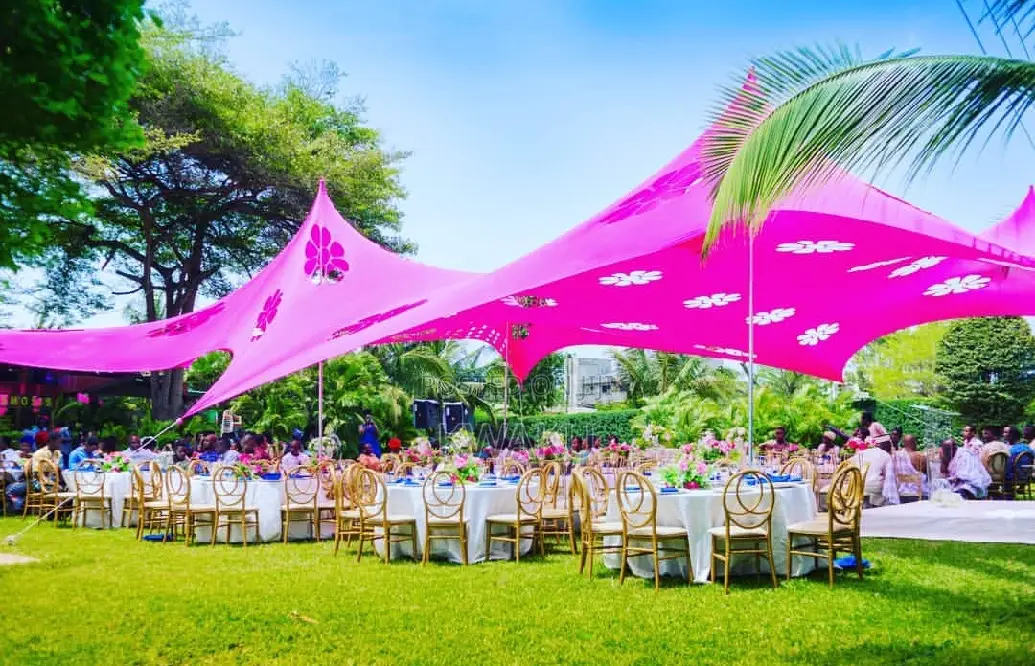 Cheese Tent Canopy
