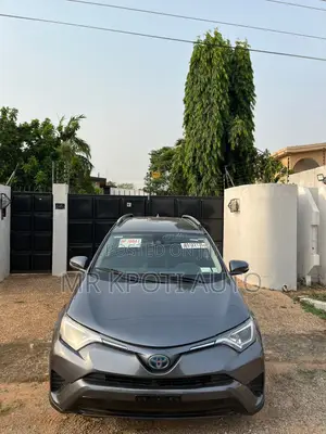 Toyota RAV4 2017 Gray