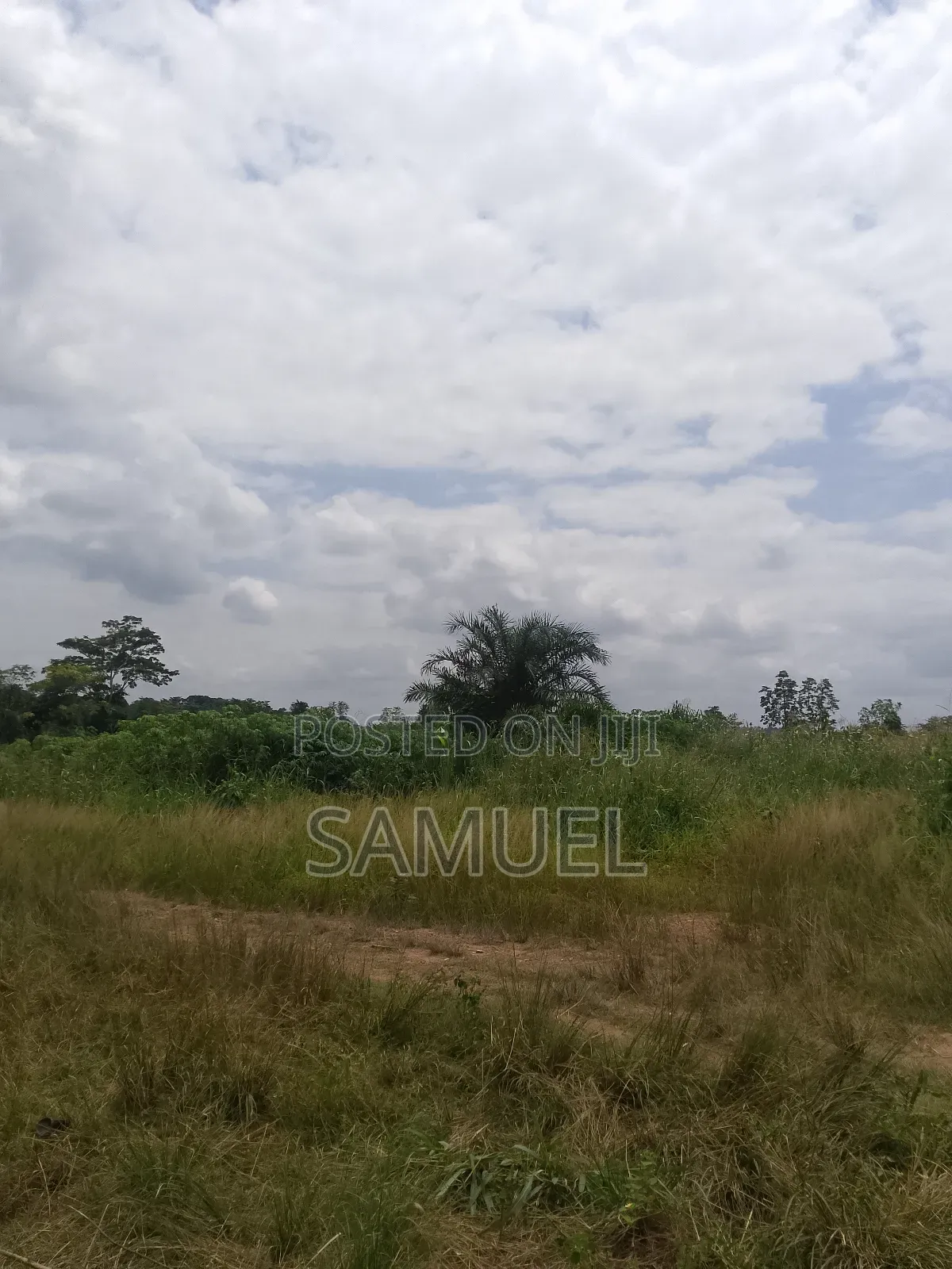 Land for Sale at Atwima Kwanwom District
