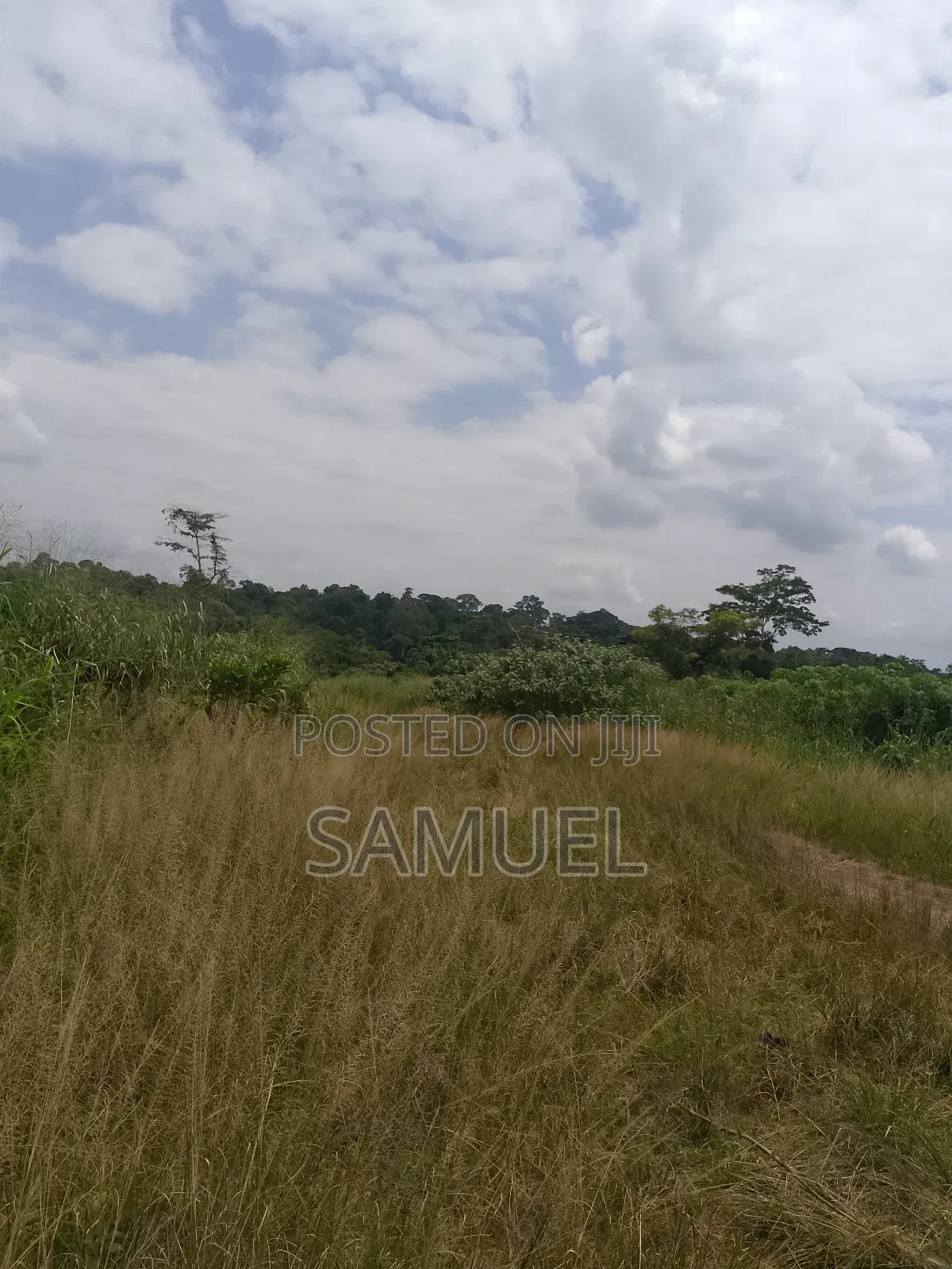 Land for Sale at Atwima Kwanwom District