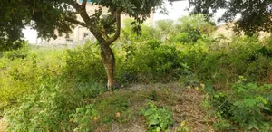1.03acres Of Main Roadside Land Available For Sale At Labone