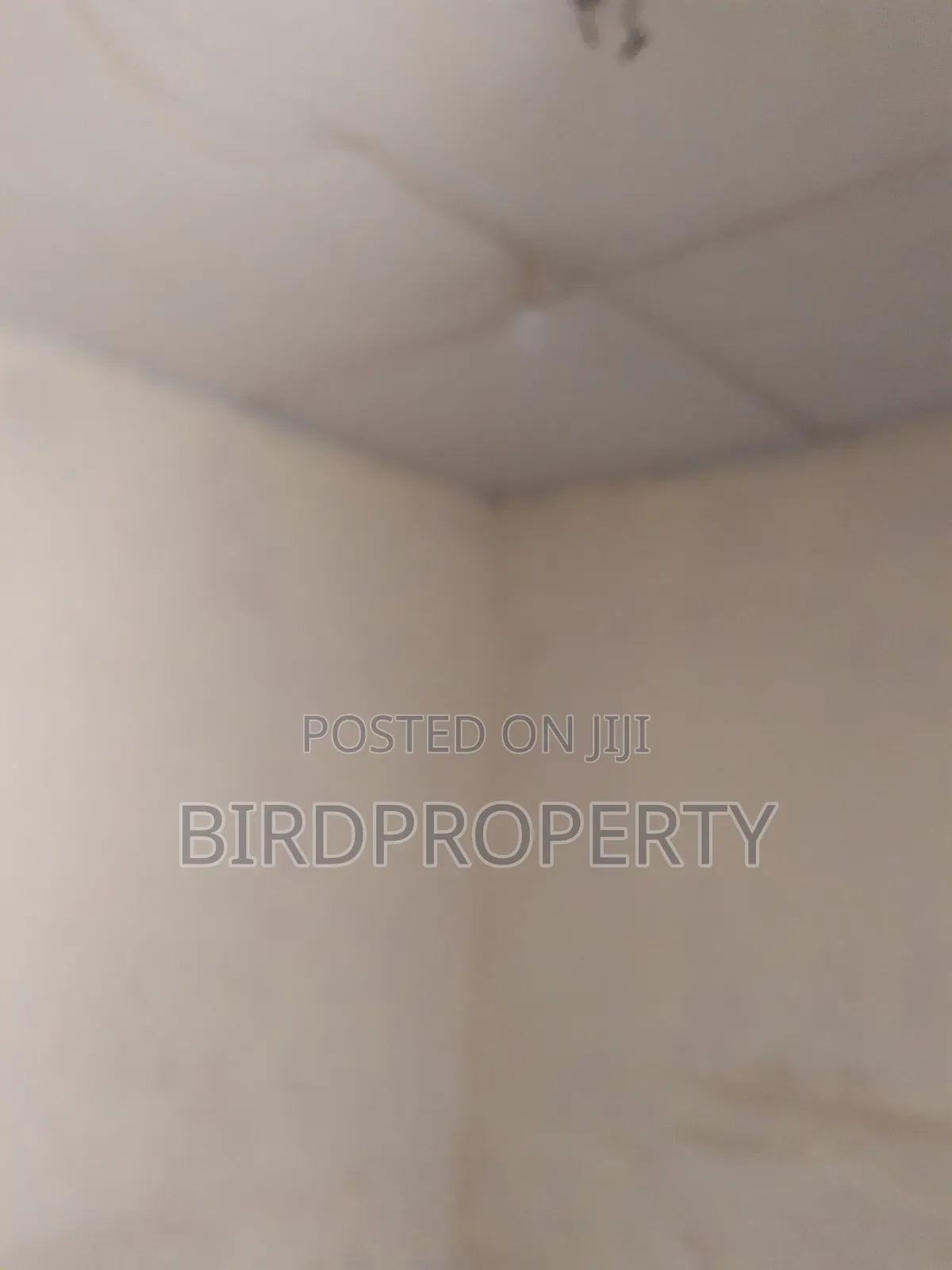 1bdrm House in Bird-Group, Ashaiman Municipal for rent