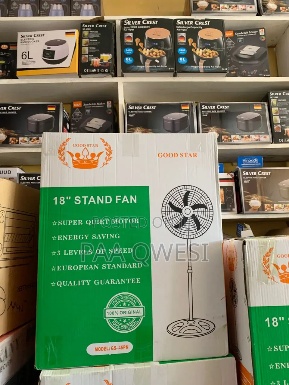 Good Star 18 Inches Stand Fan – European Standard