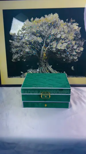Classy Jewelry Organizer