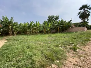 Registered Plot of Land 100x70 at Ofankor Seven Days