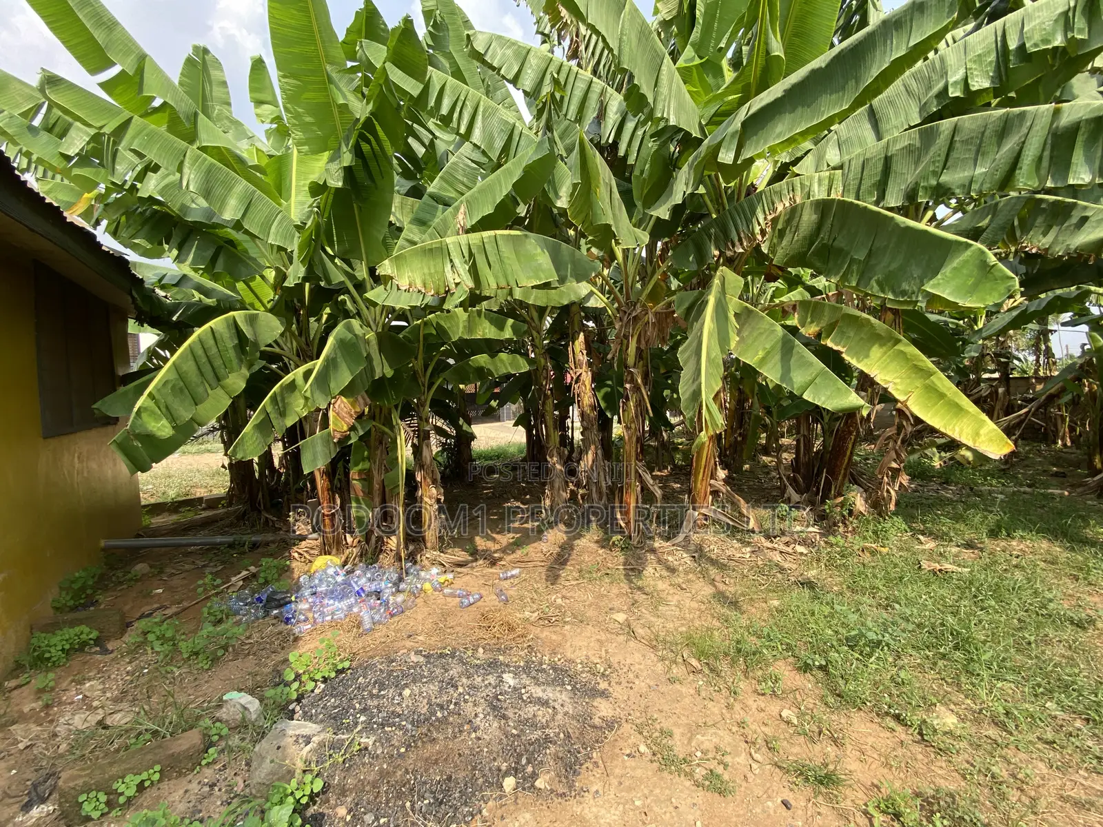 Registered Plot of Land 100x70 at Ofankor Seven Days