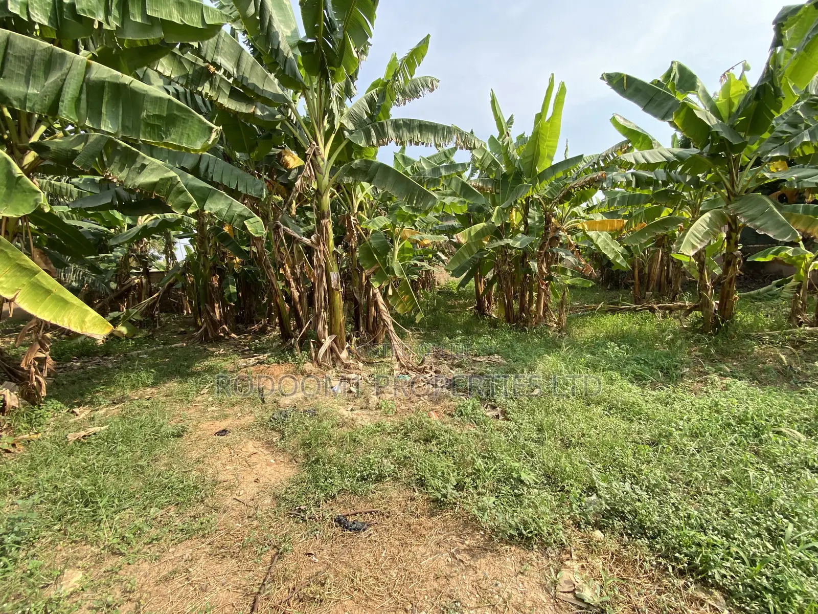 Registered Plot of Land 100x70 at Ofankor Seven Days