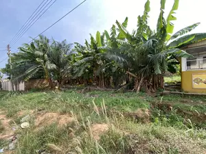 Registered Plot of Land 100x70 at Ofankor Seven Days