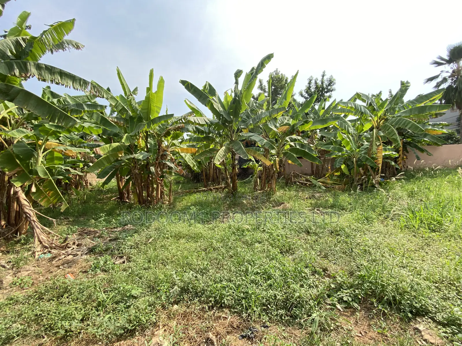 Registered Plot of Land 100x70 at Ofankor Seven Days