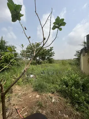 Six ( 6 ) Plots of Land for Sale at Oyarifa