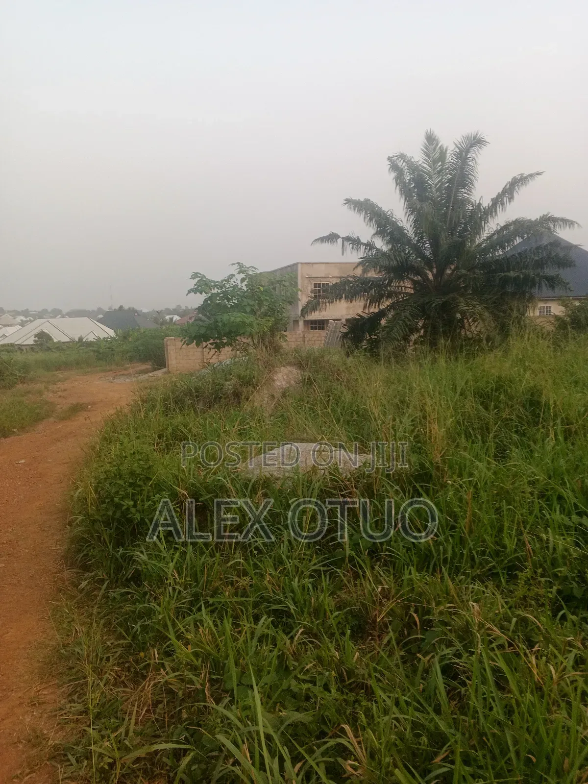 Half Plot of Land Good Location