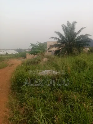 Half Plot of Land Good Location
