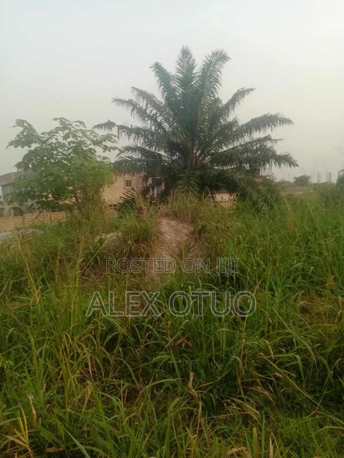 Half Plot of Land Good Location